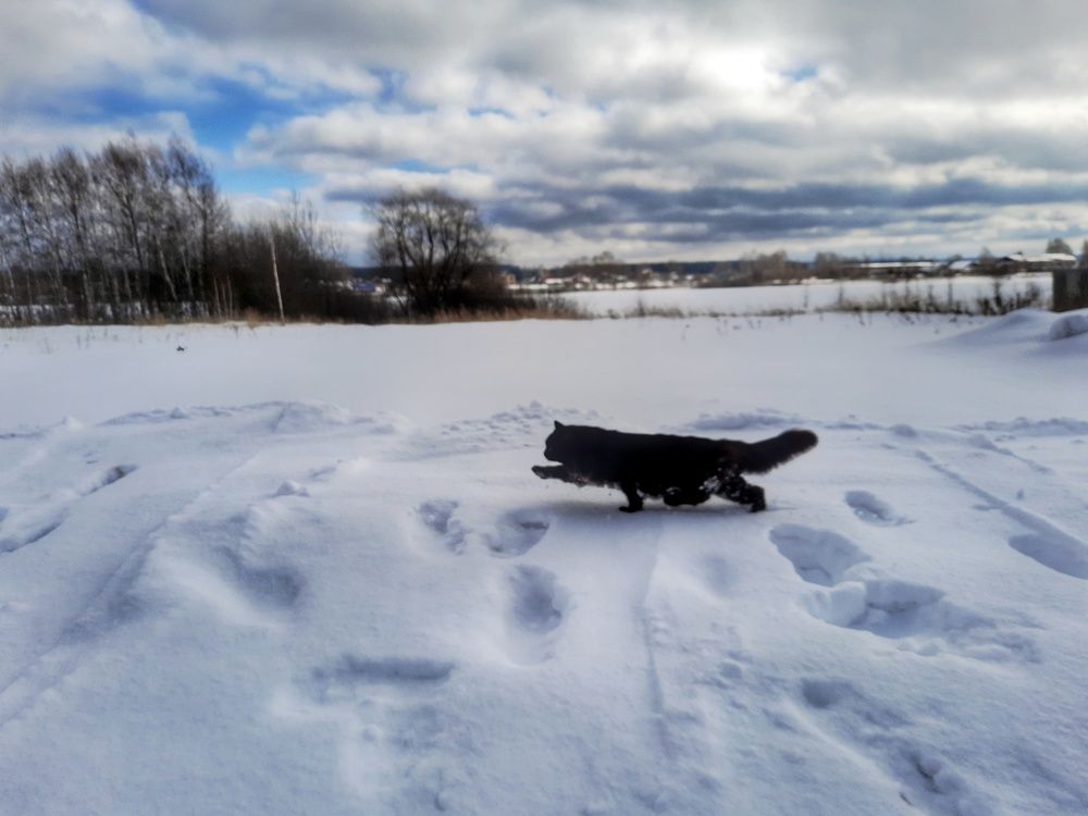 Photograph by Мария Андреева