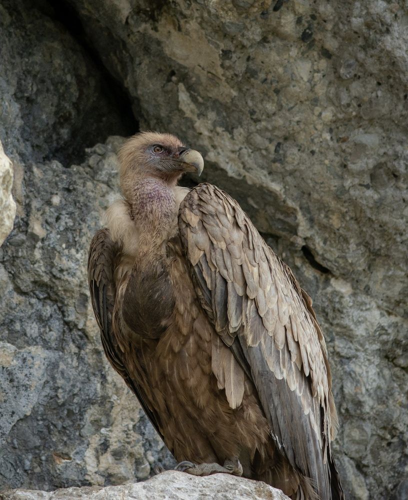 Photograph by Dyakon Zhora