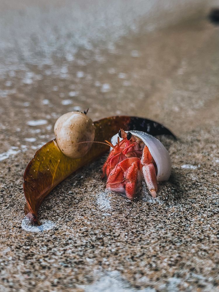 Photograph by Софья Гелевера