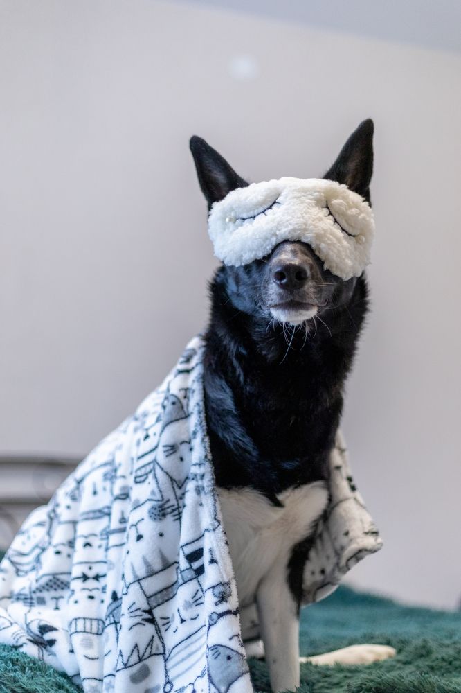 Photograph by Полианна Напара