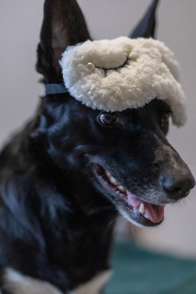 Photograph by Полианна Напара