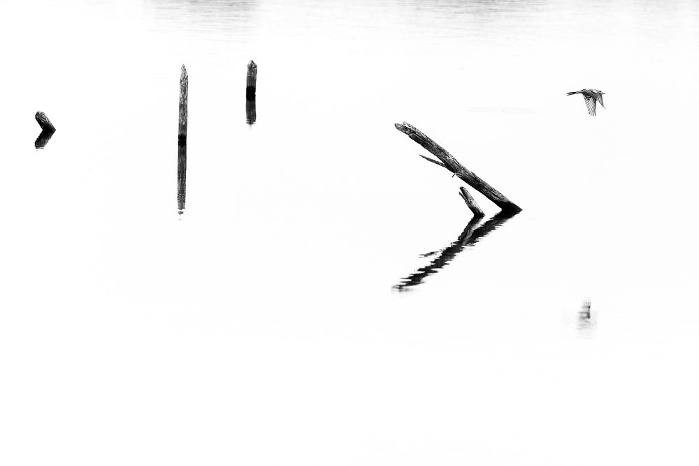 Photograph by Владислав Никишин