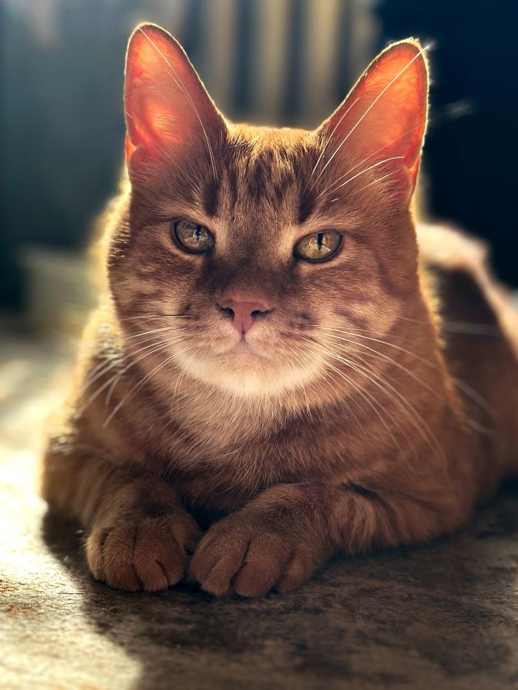 Photograph by Виктория Чернышева