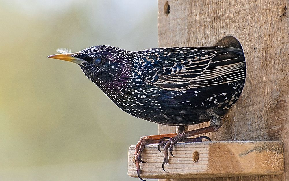 Photograph by Сергей