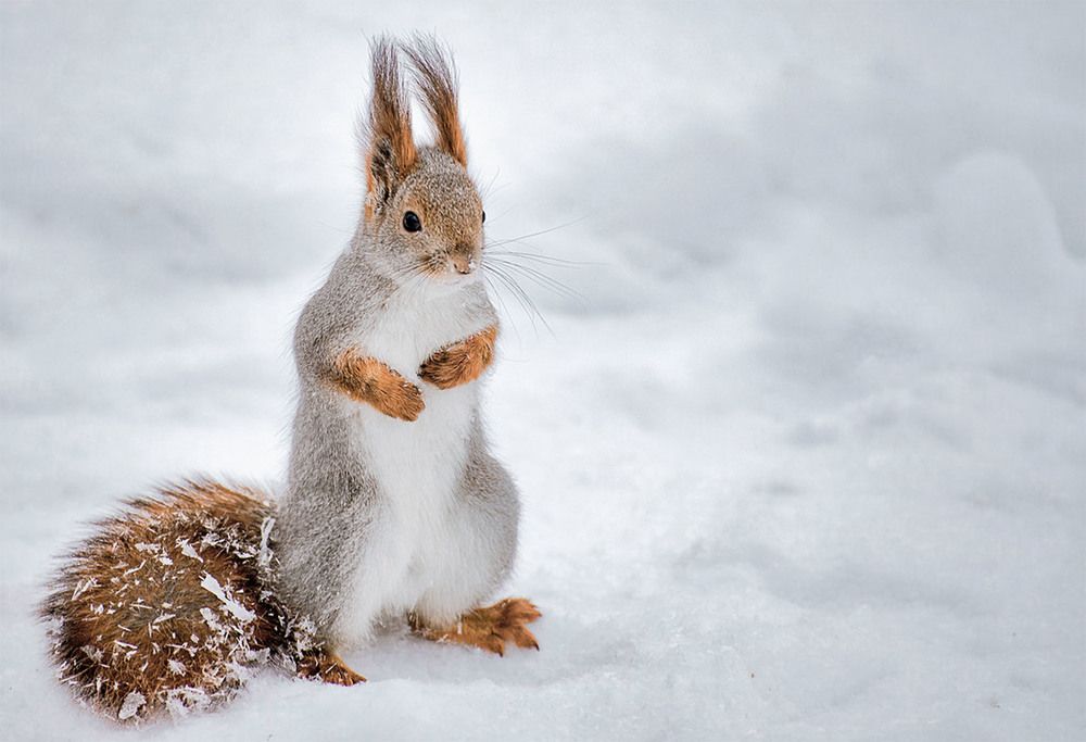 Photograph by Сергей