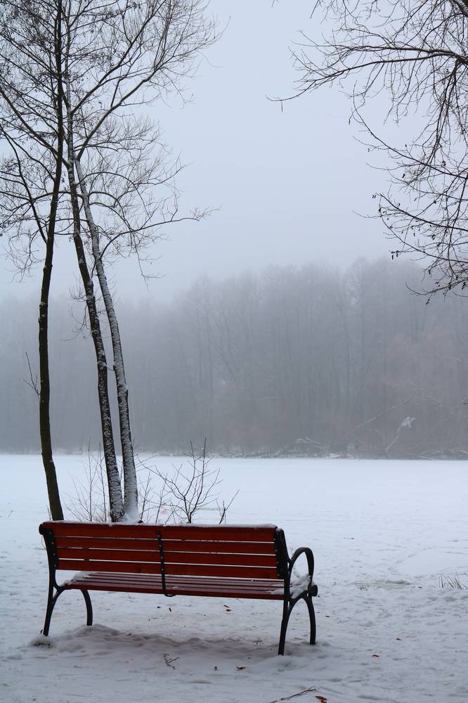 Photograph by Светлана Шуткова