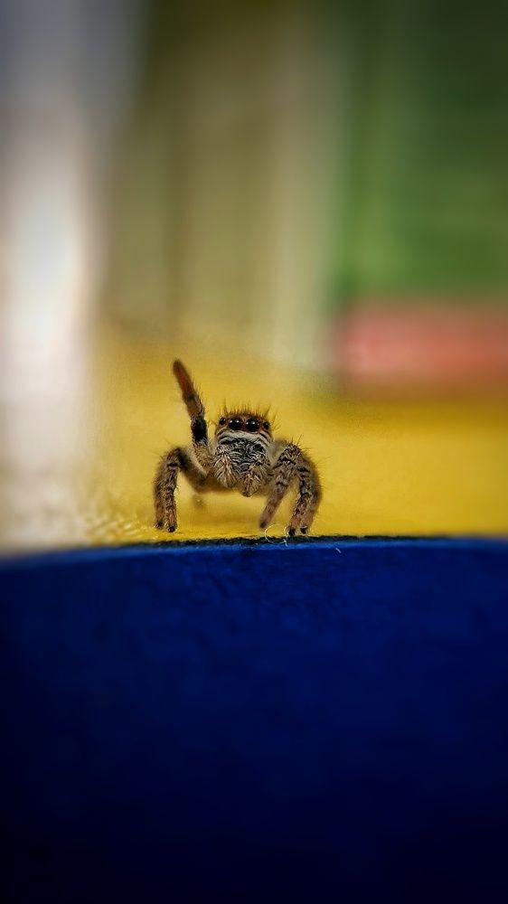 Photograph by Ольга Веселова