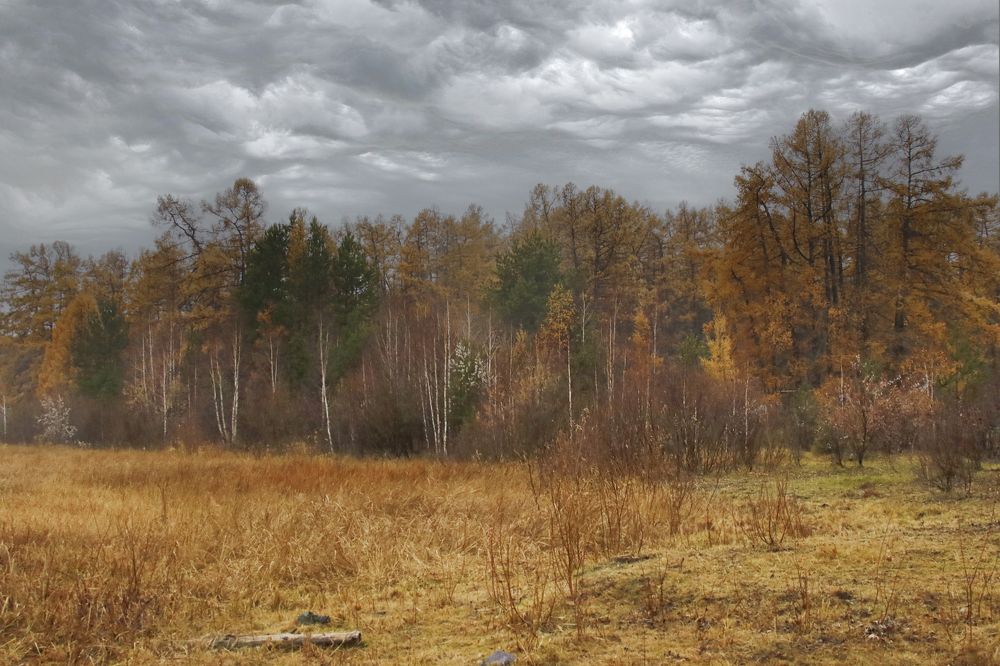 Photograph by Валерий Шорохов