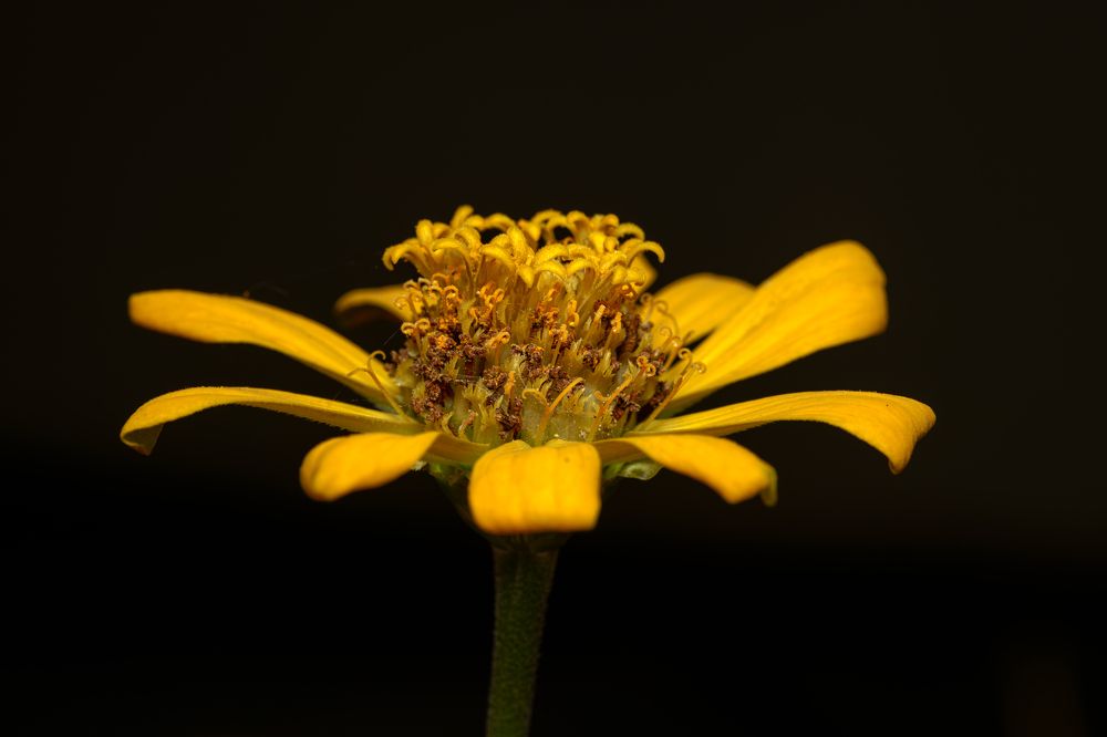 Photograph by Савин Андрей