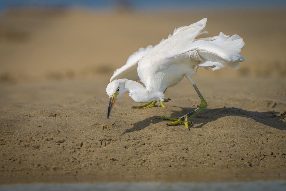 Photograph by Rin Võ