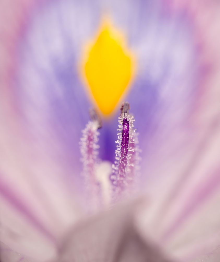 Photograph by Савин Андрей