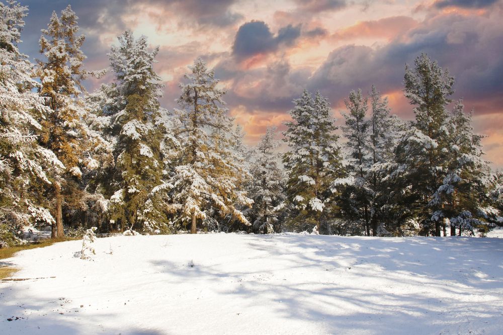 Первый снег