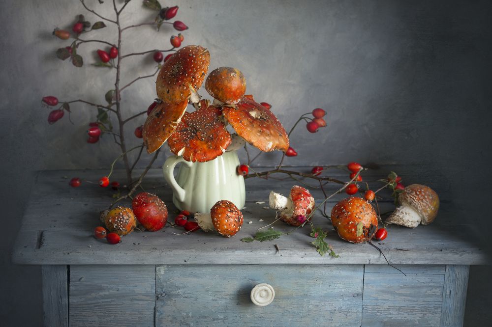 Photograph by Зимина Лионелла