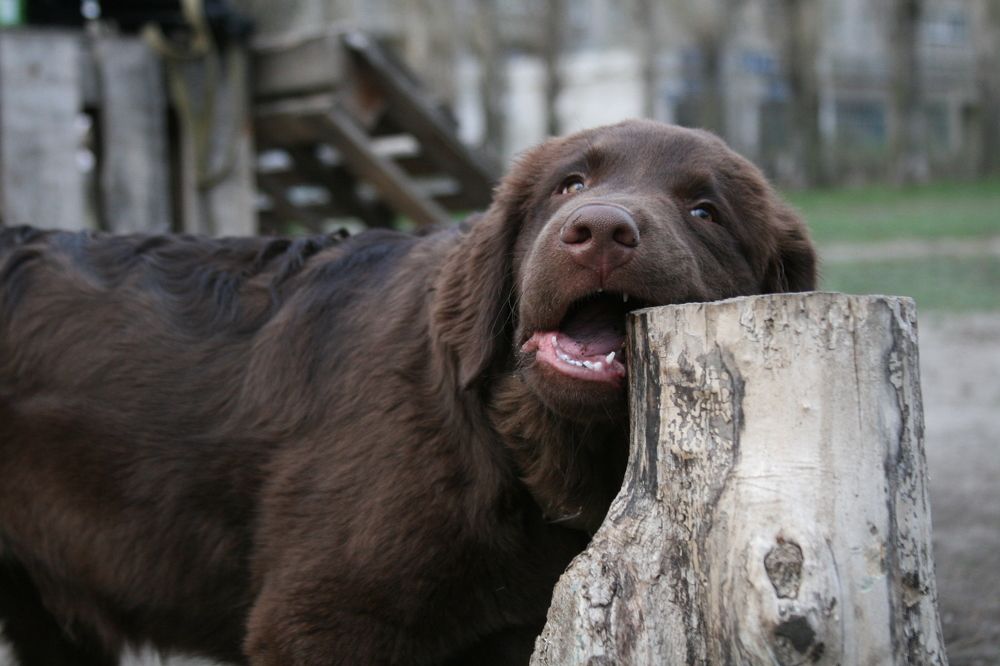 Photograph by Евгения Емельянова