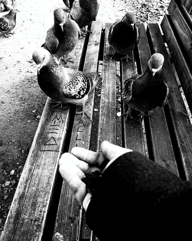 Photograph by Берез Сергей Владимирович