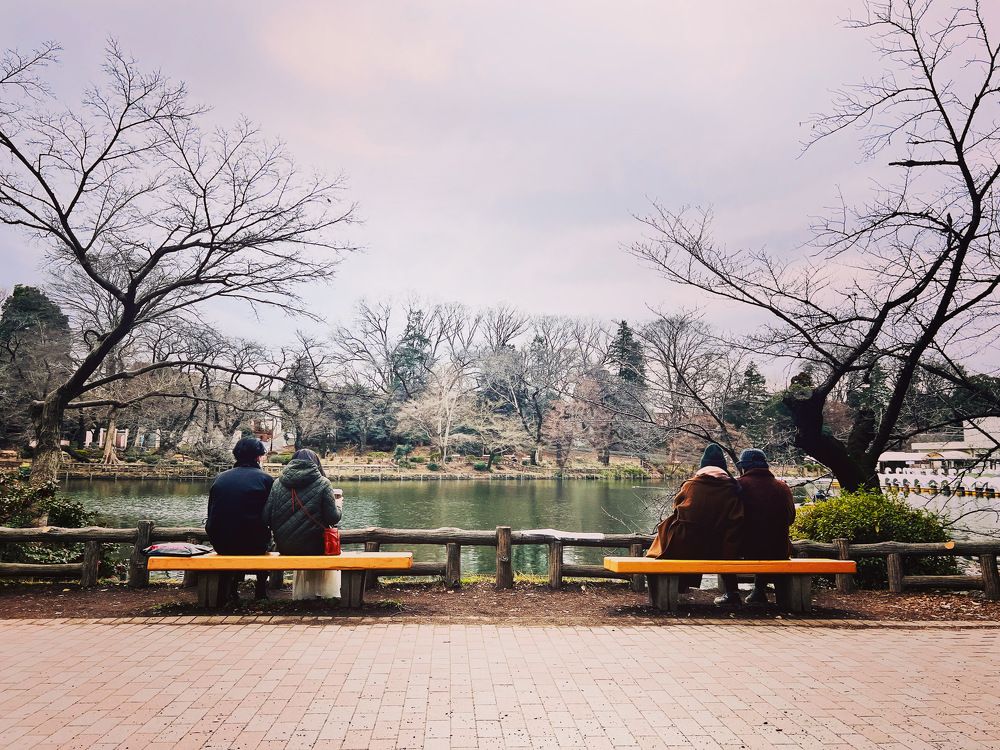 Photograph by Shayne