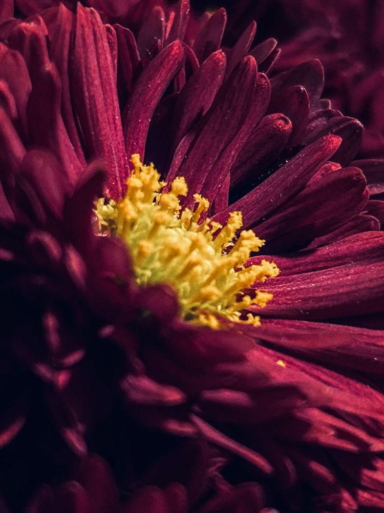 Фотография автора Ирина Якущенко