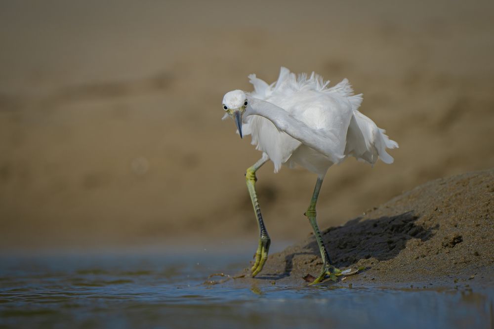 Photograph by Rin Võ