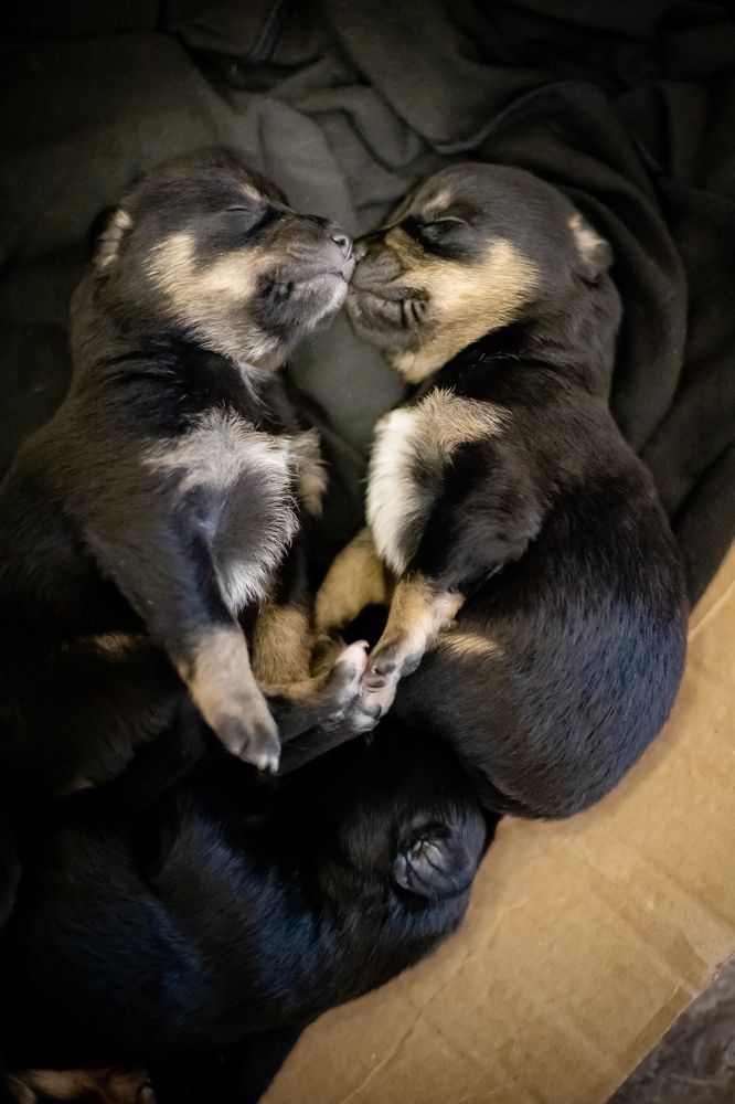 Photograph by Иманова Настя