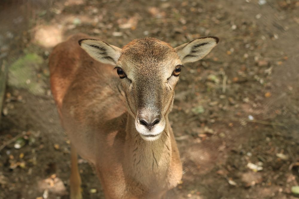 Photograph by Greta Jordanova