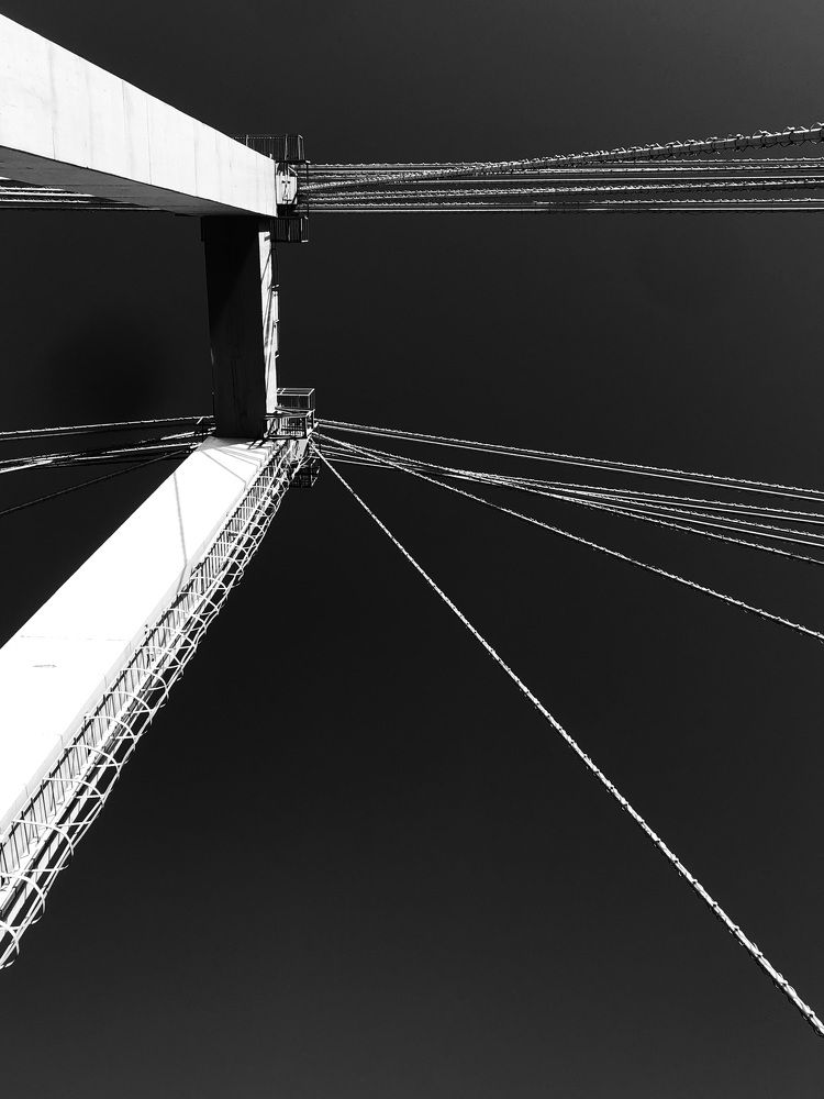 Фотография автора Светлана