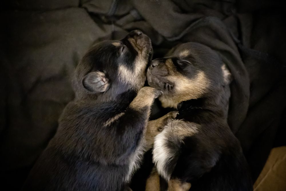 Photograph by Иманова Настя