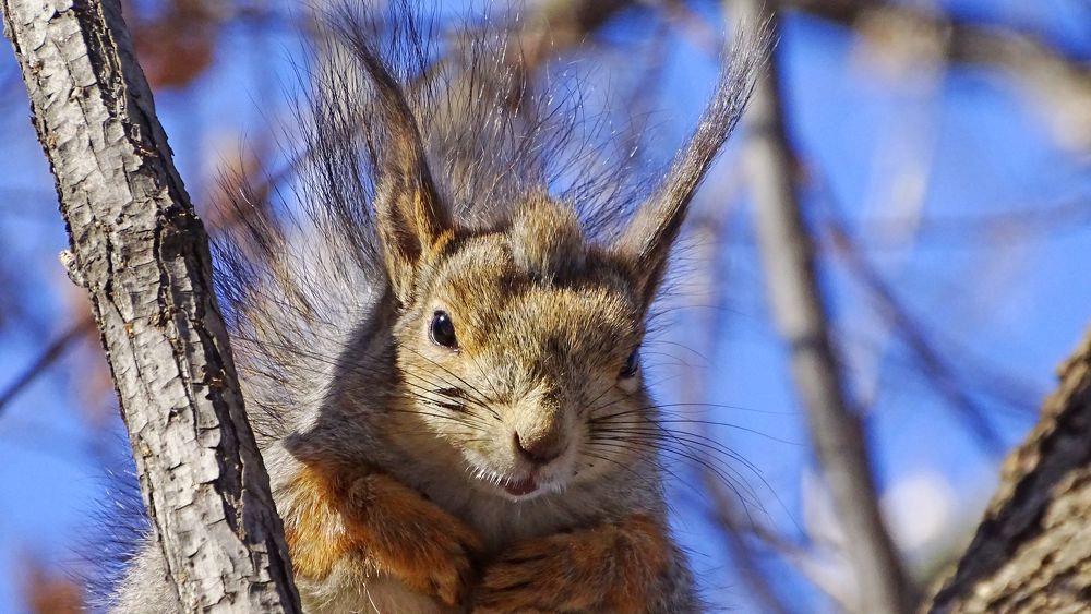 Photograph by Alexsandr Gl