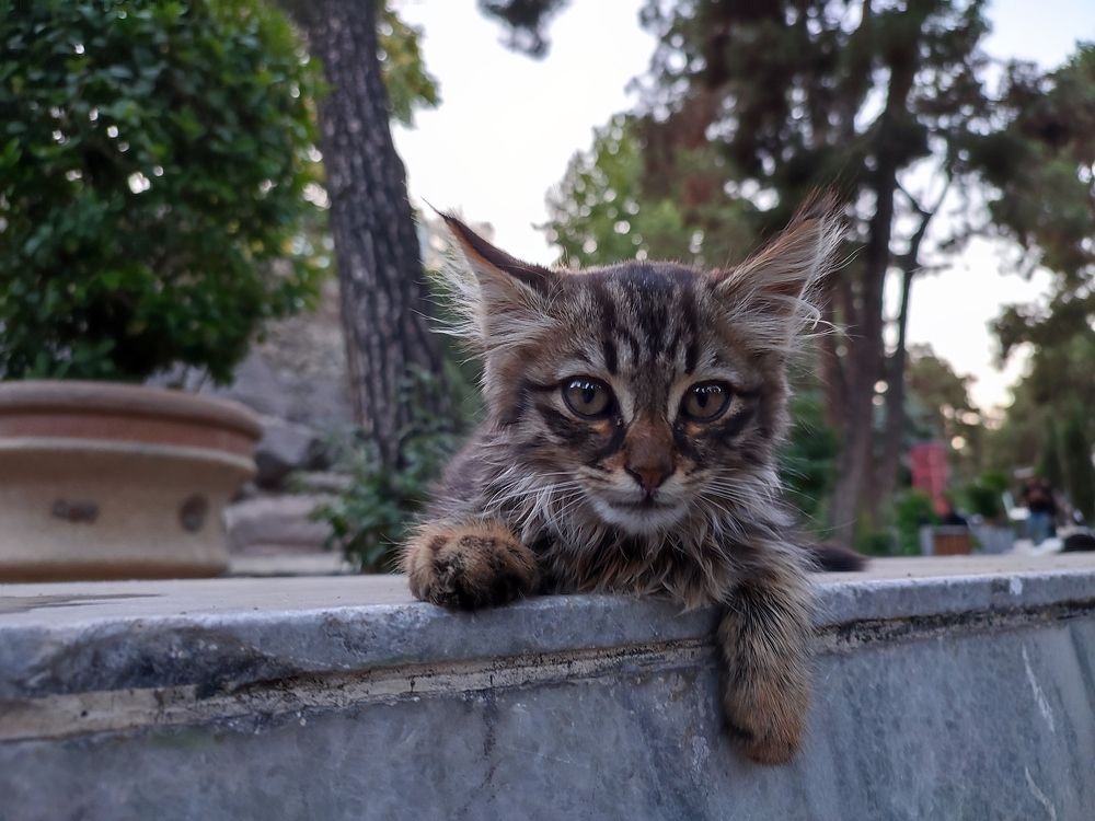 Photograph by mahdi roozbahani