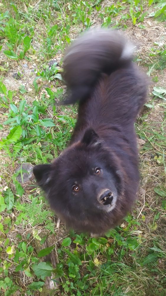 Photograph by Елена Смирнова