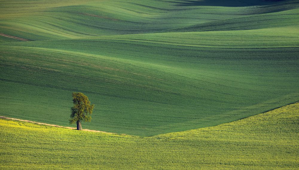 Photograph by Владимир Остапенко