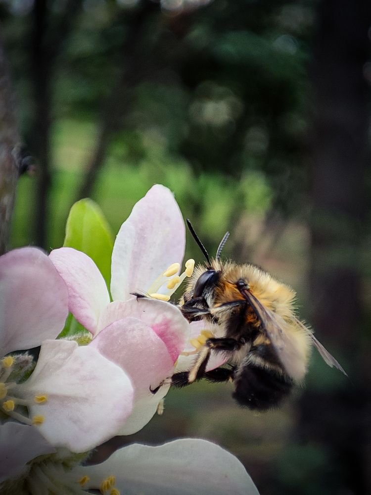 Photograph by mahdi roozbahani