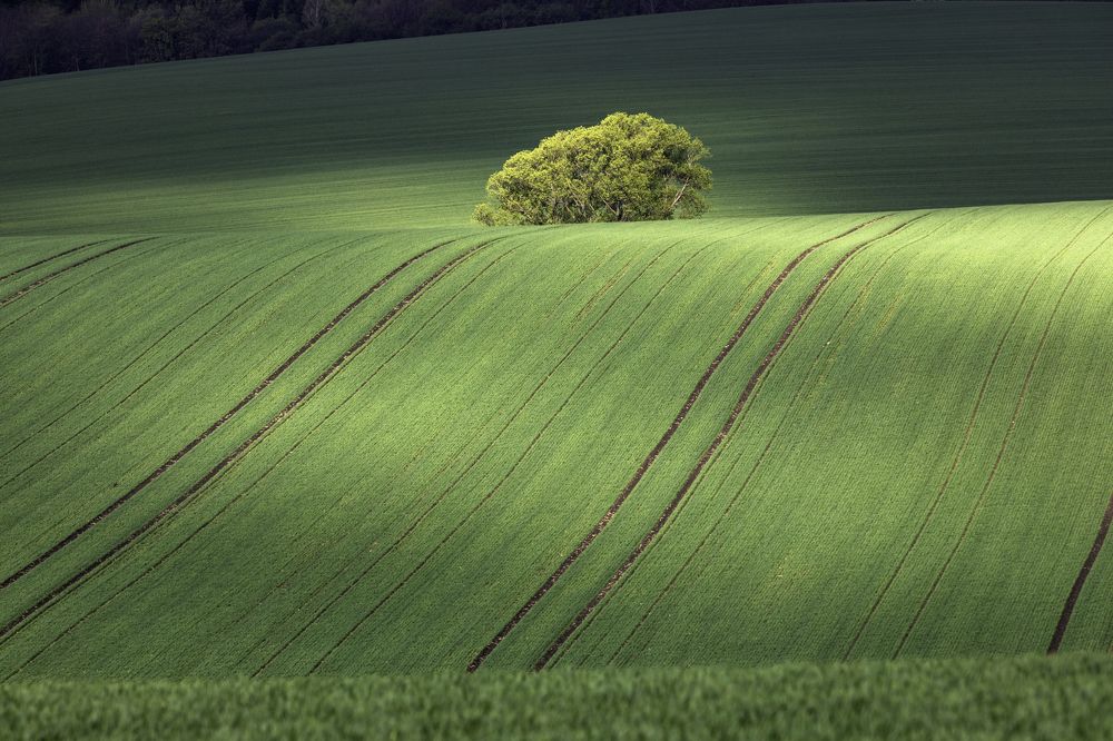 Photograph by Владимир Остапенко