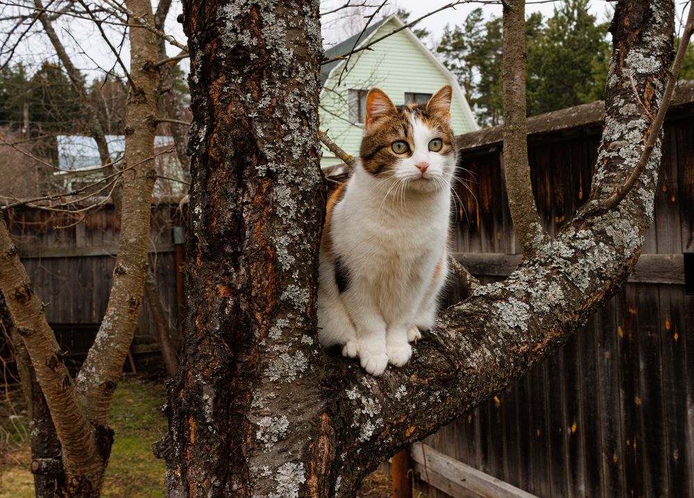 Photograph by Сергей Щербаков