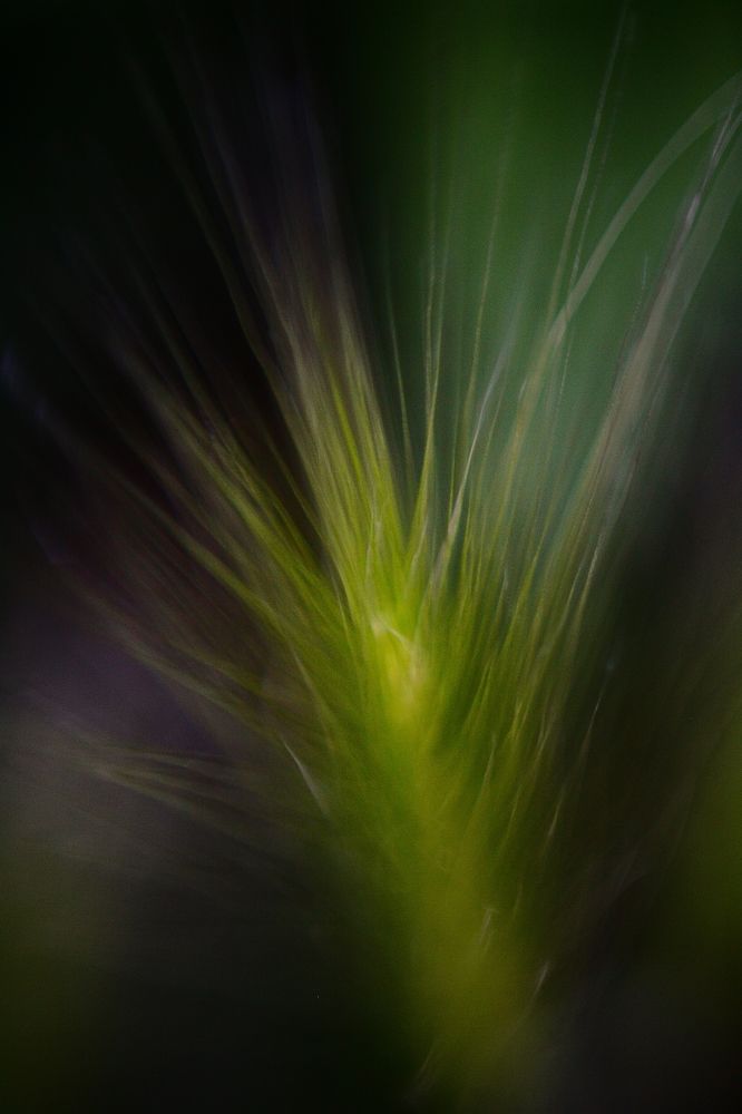 Photograph by Alexander Popoff