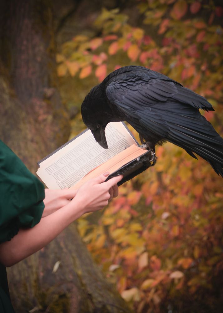 Photograph by Виктория Колышева