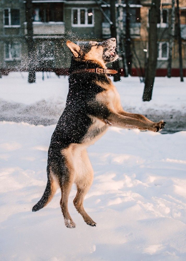 Photograph by Каталина Иванова