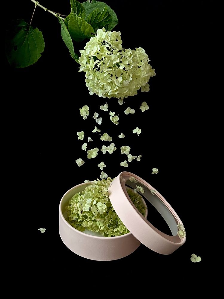 Фотография автора Алёна