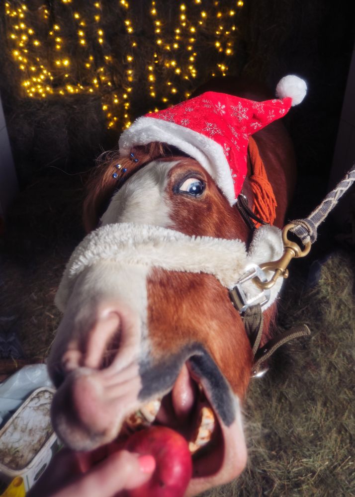 Photograph by Виктория Колышева