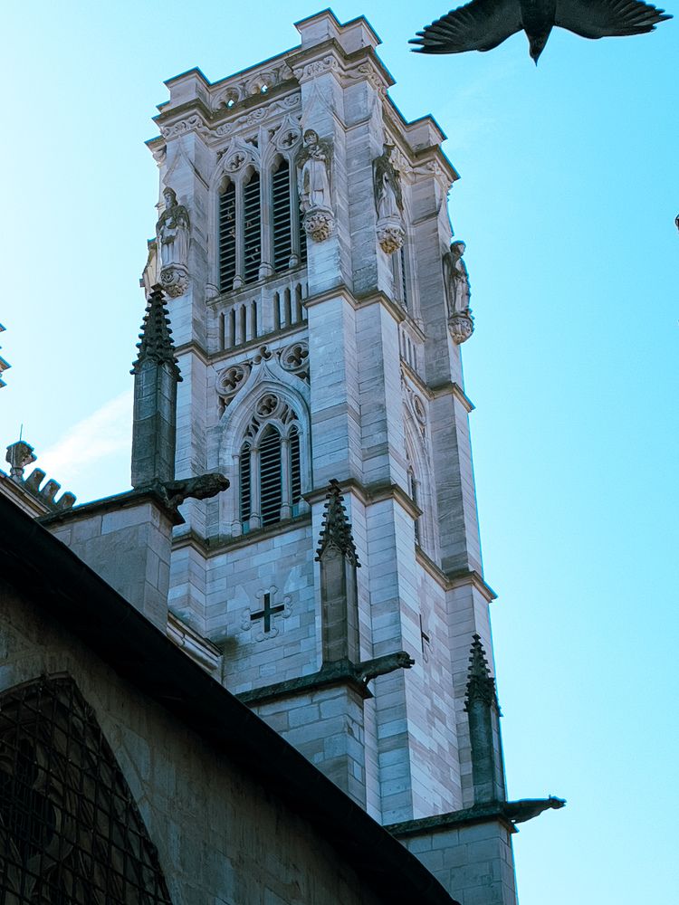Cathédrale St Vincent