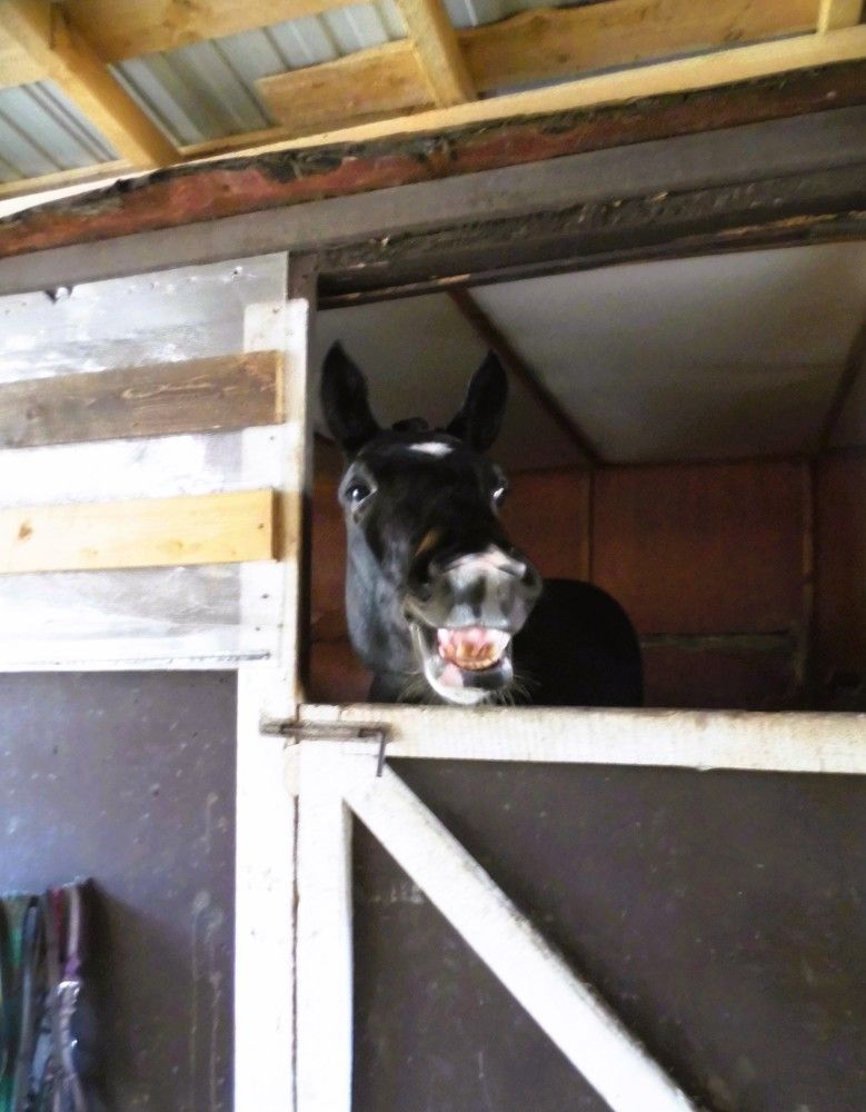 Photo #9744237
