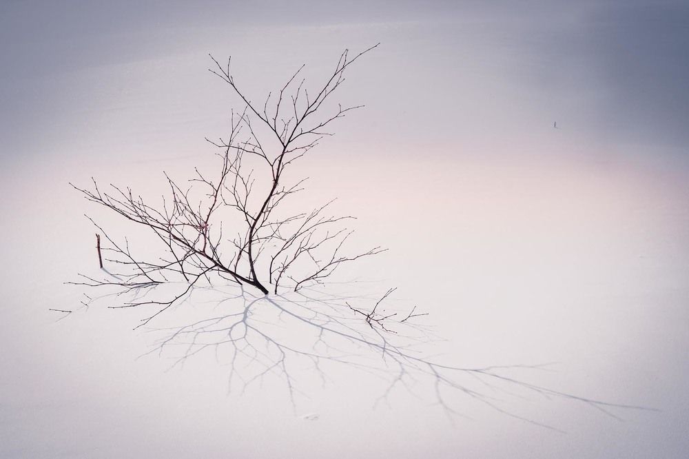 Фотография автора Татьяна Добровольская