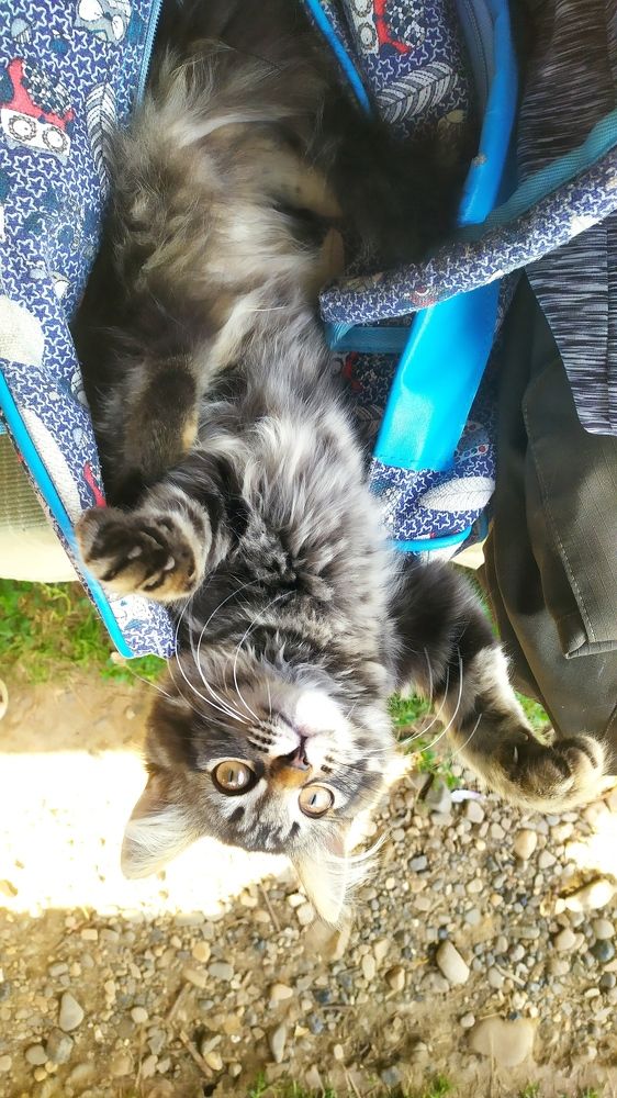 Photograph by Елена Смирнова