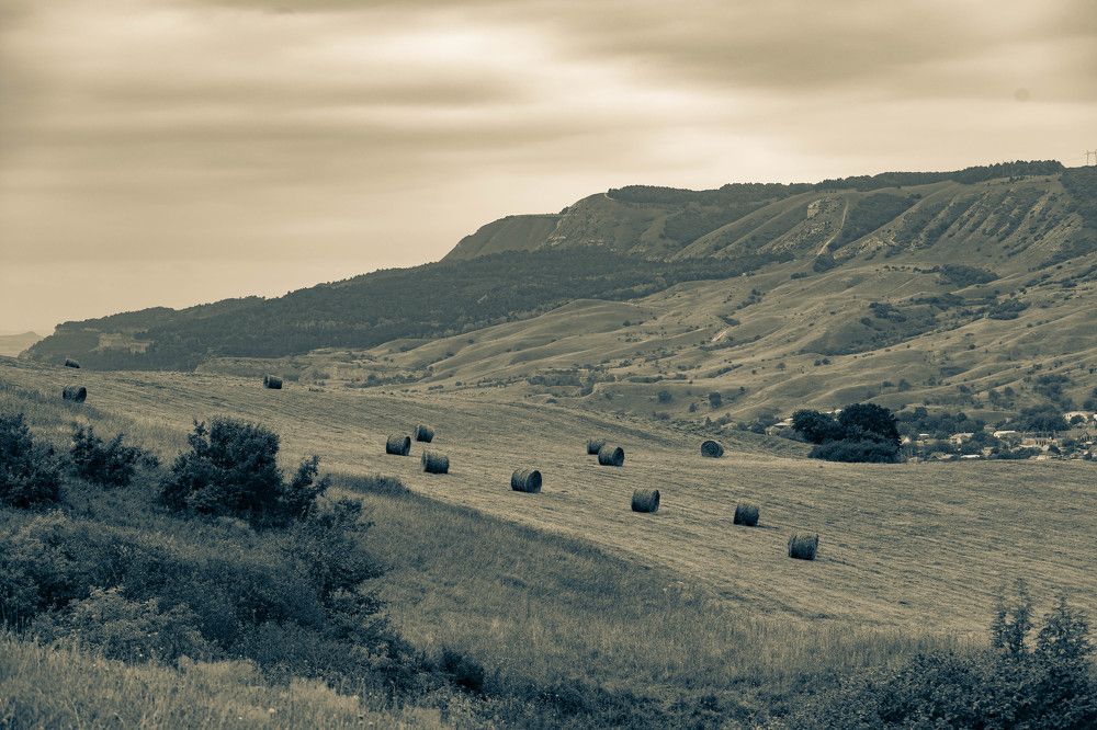 Photograph by Виталий Са