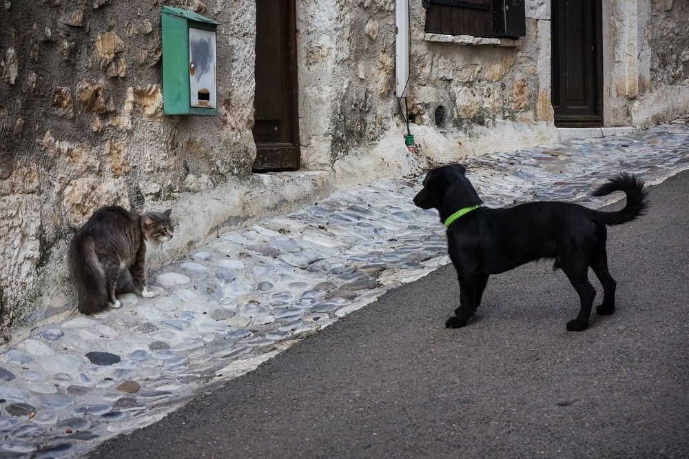 Photograph by Sergei Komlev