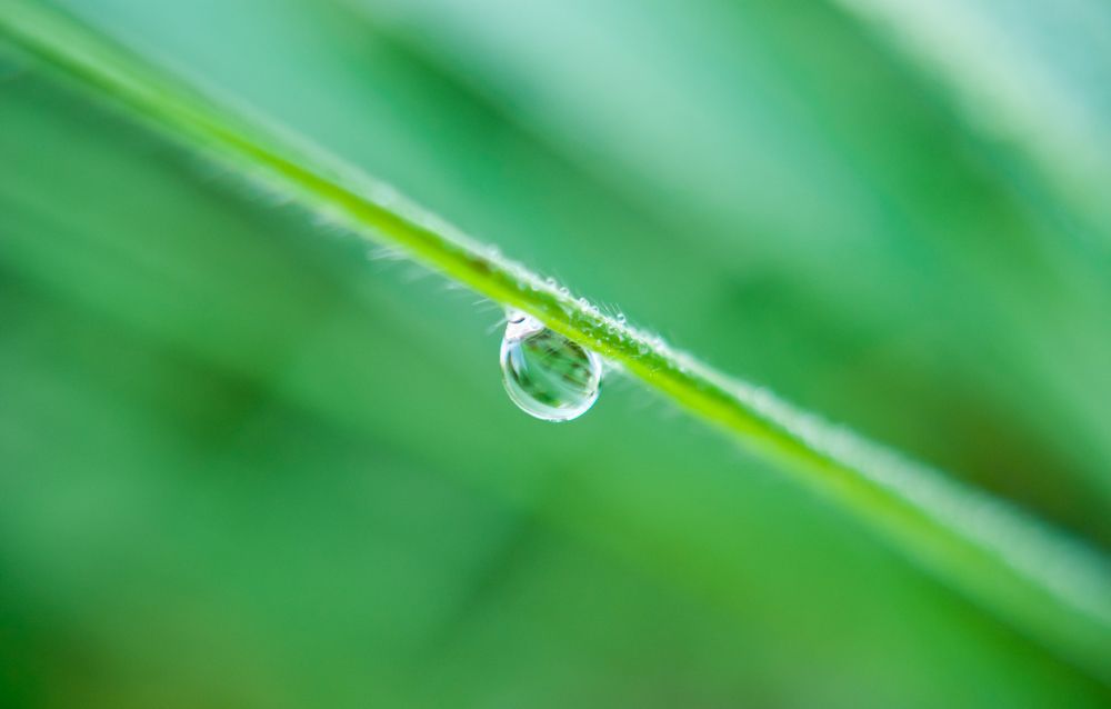 Photograph by Sergei Komlev