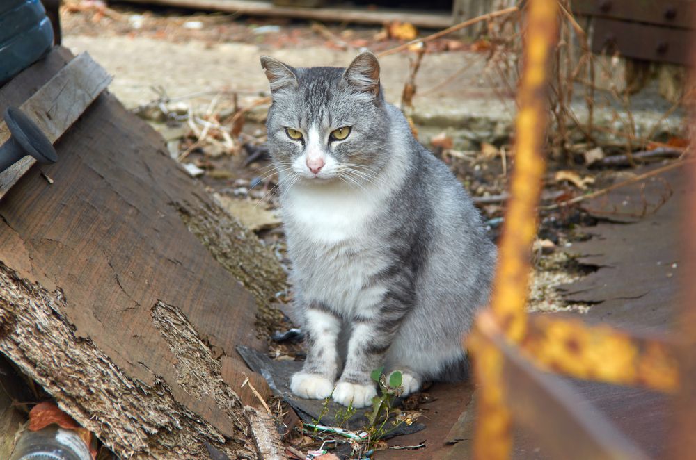 Photograph by Arkhipov