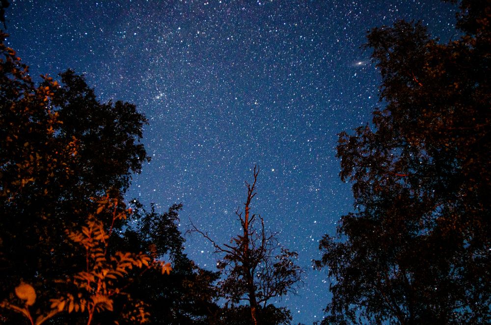 Photograph by Светлана Бурятинская