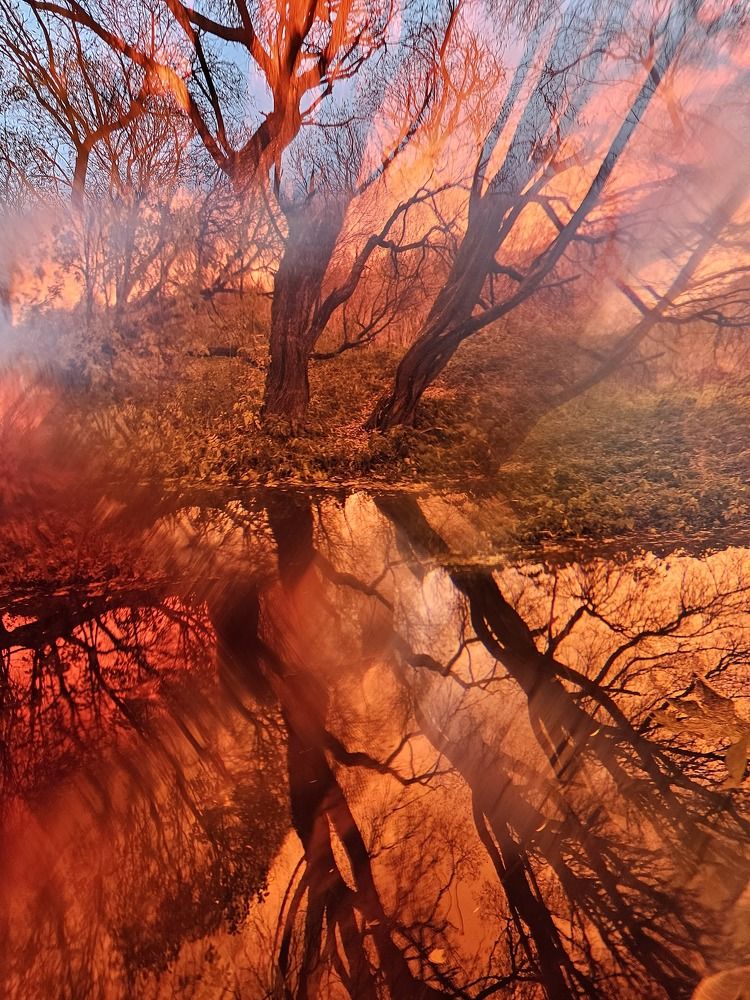 Photograph by Anna Pavlova