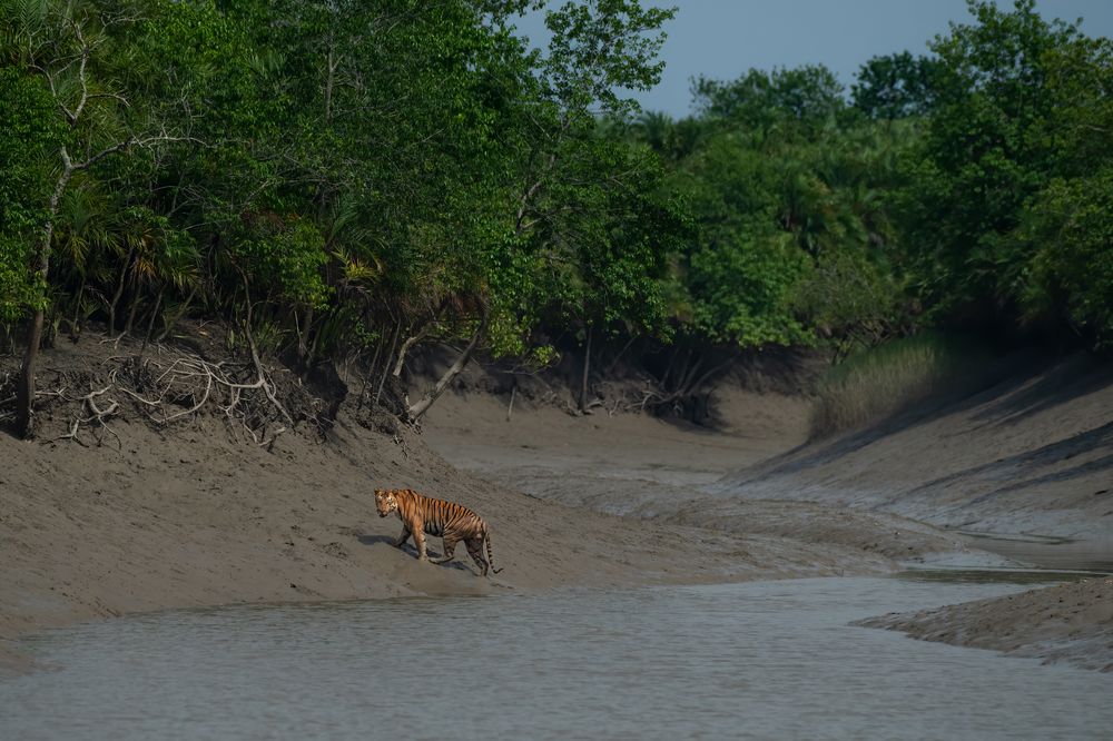 Photograph by Anthony Suraj Gomes