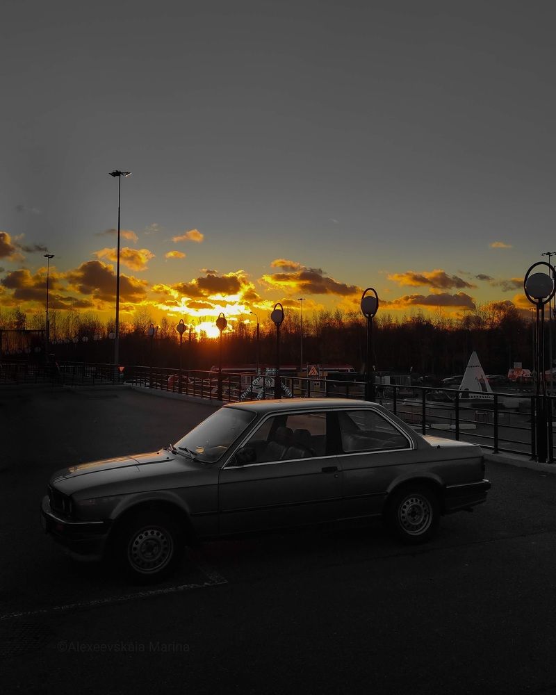 Фотография автора Марина Алексеевская